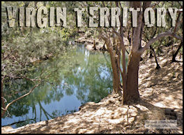 Virgin Territory - page 46 Issue 69 (click the pic for an enlarged view)